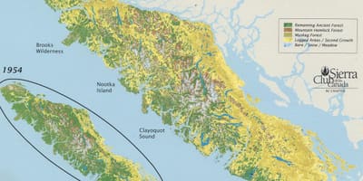 Regnskógur vancouver island kort